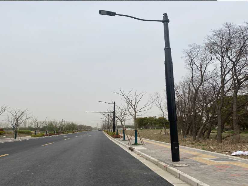 革吉县上海综合杆 太阳能路灯工程